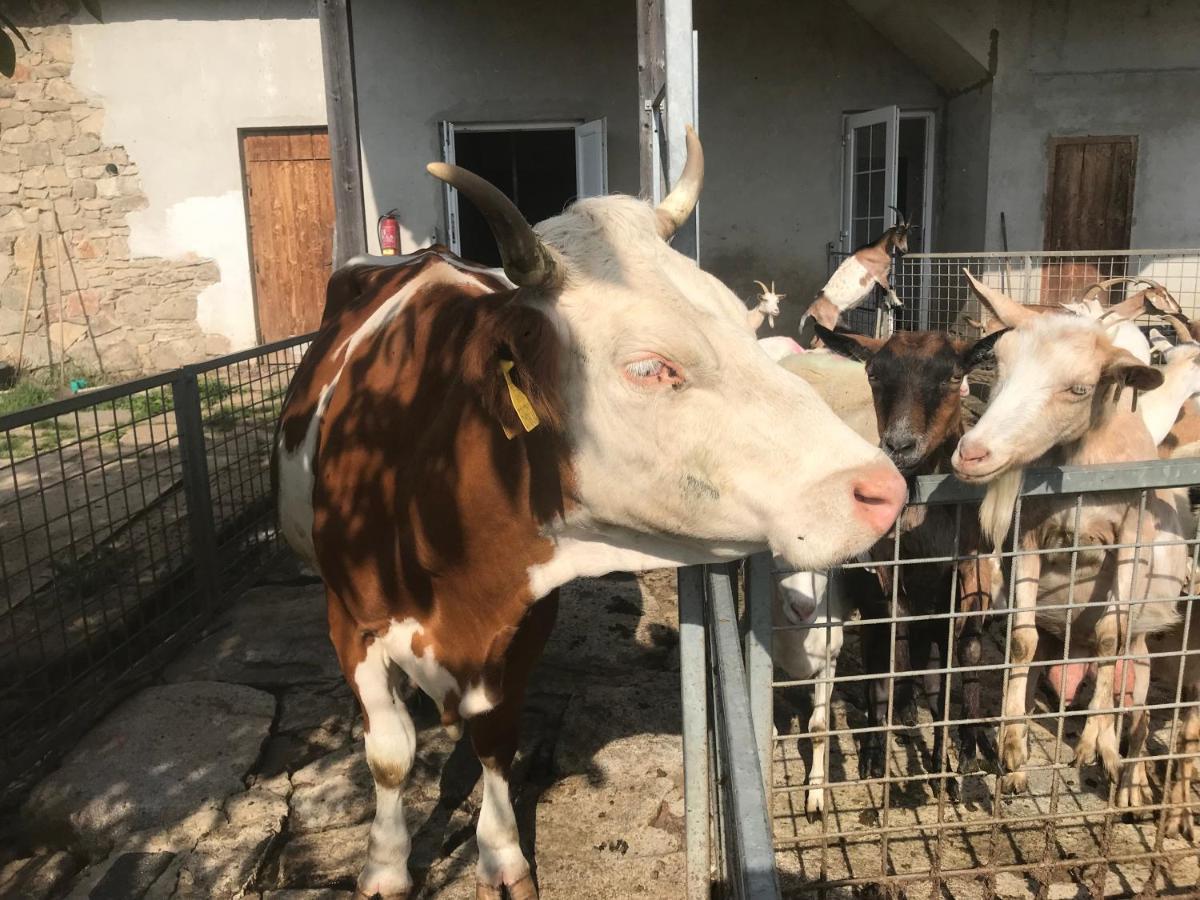 Pension Biofarma Slunecna Želnava 外观 照片